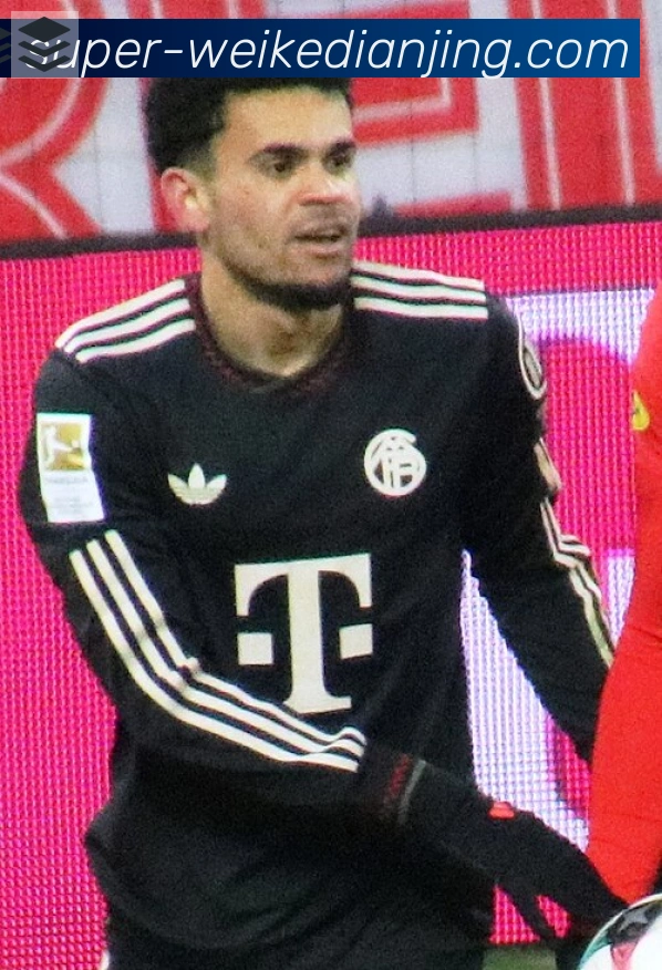 厄林·哈兰德